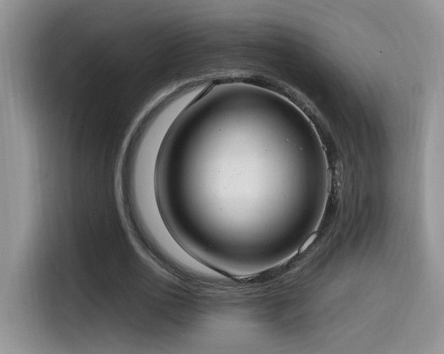 X0000115540726200911061459