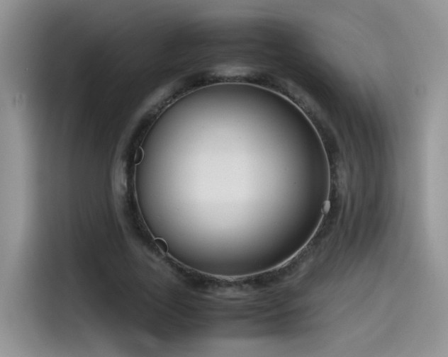 X0000115540731200911061459