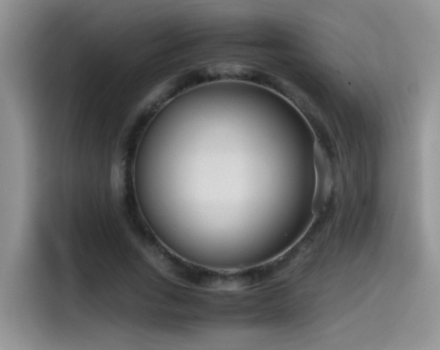 X0000115540735200911061500