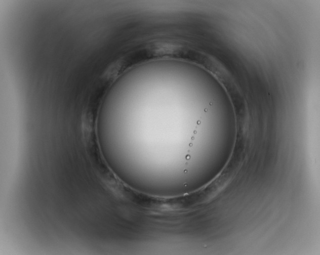 X0000115540737200911061500