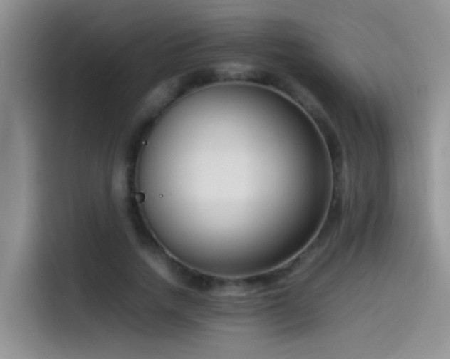 X0000115540738200911061500