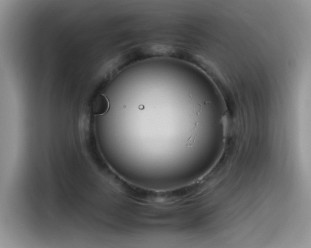 X0000115540739200911061500