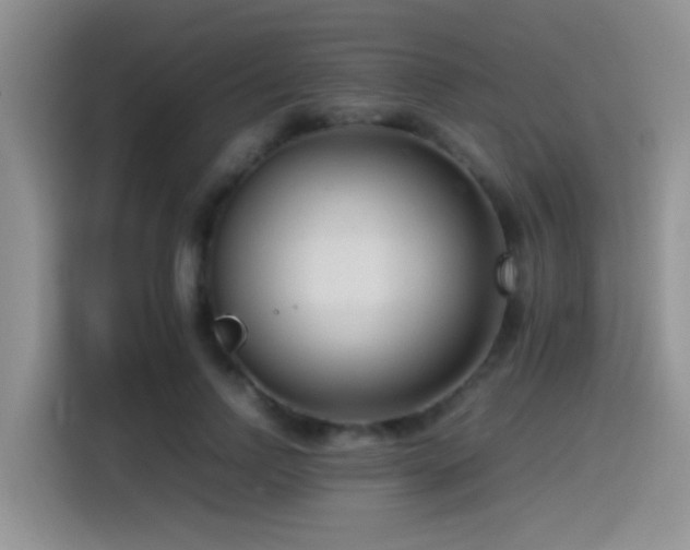 X0000115540742200911061500