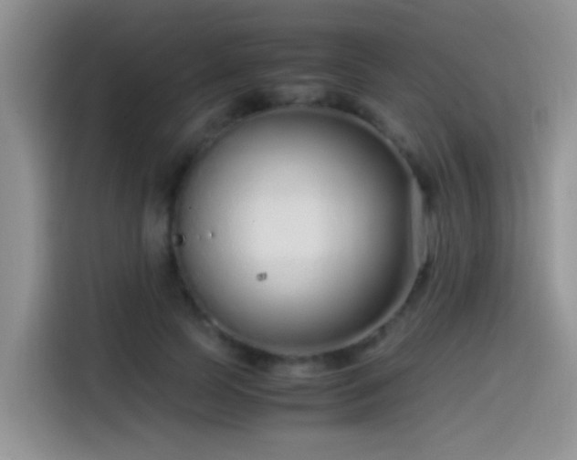 X0000115540745200911061500