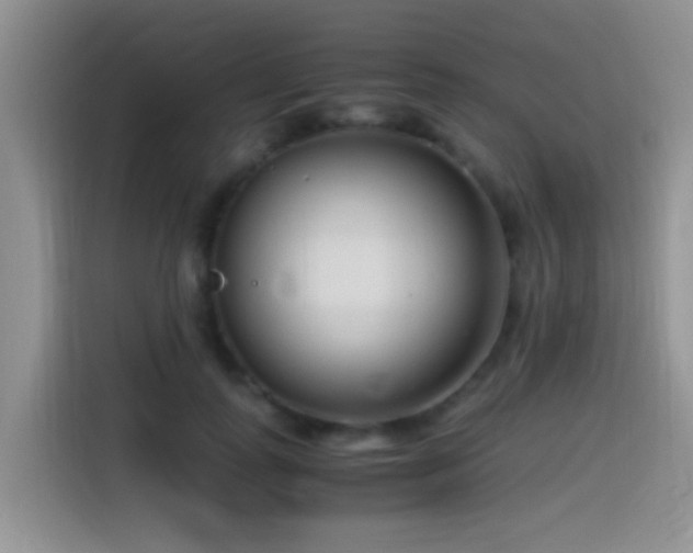 X0000115540747200911061500