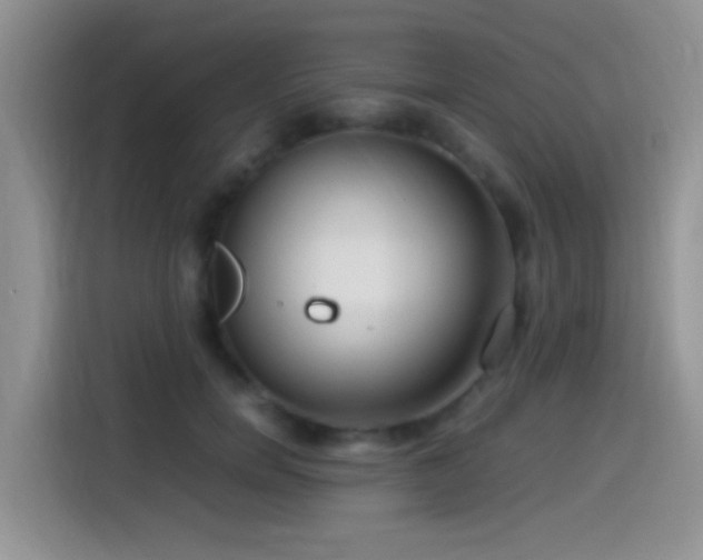 X0000115540750200911061500