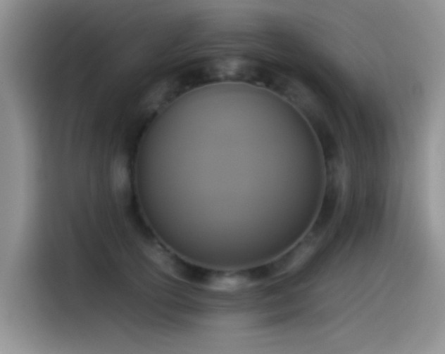 X0000115540754200911061500