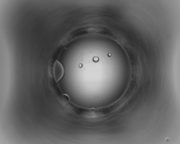 X0000115540755200911061500