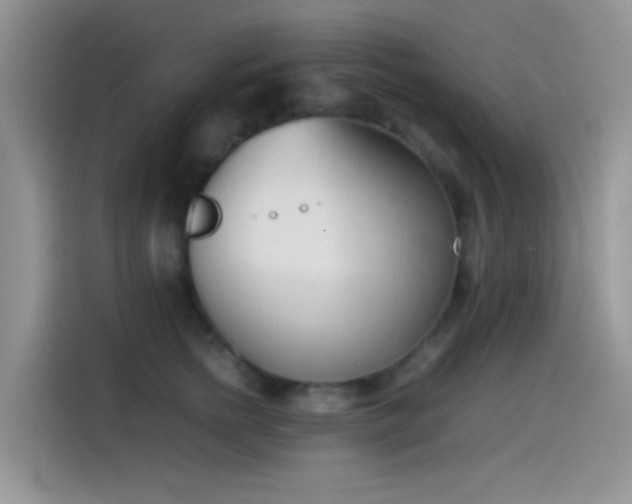 X0000115540758200911061500