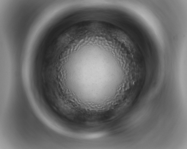 X0000115540765200911061500