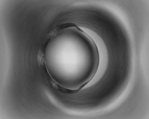 X0000115540766200911061500