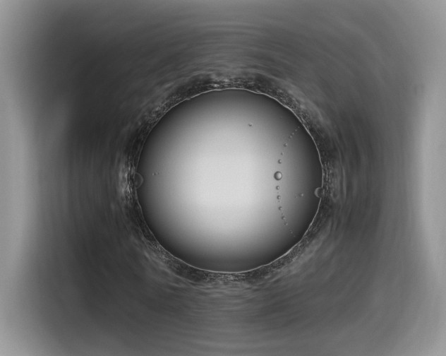 X0000115540770200911061459