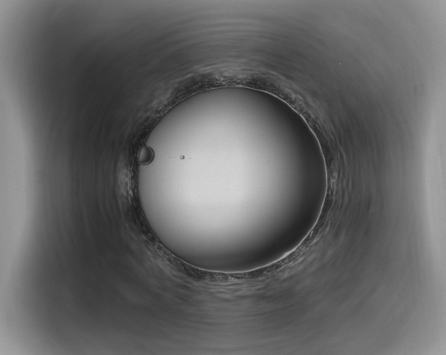 X0000115540772200911061459