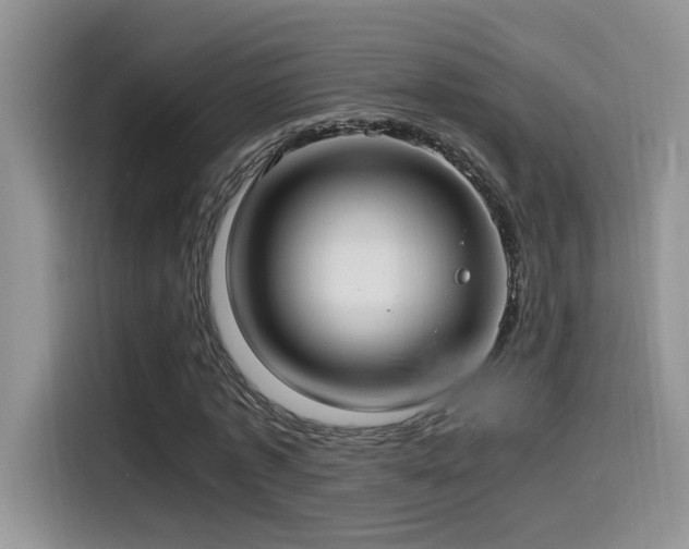 X0000115540773200911061459