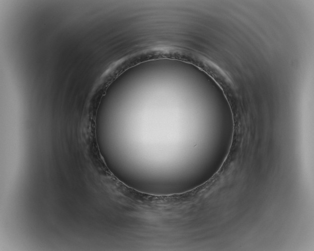 X0000115540776200911061459