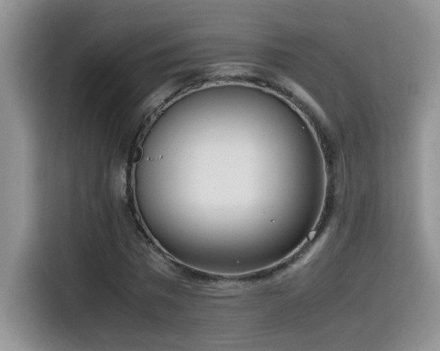 X0000115540777200911061459