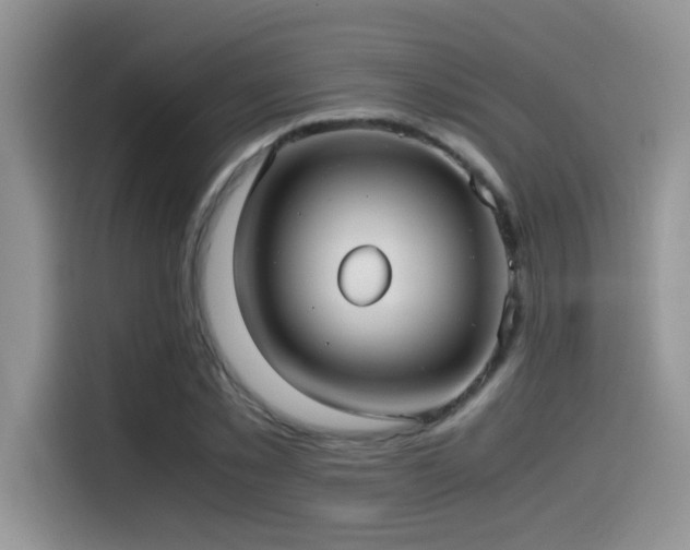 X0000115540781200911061459