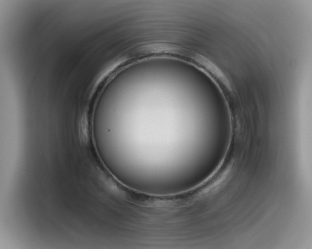 X0000115540782200911061459