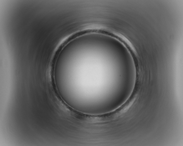 X0000115540783200911061459