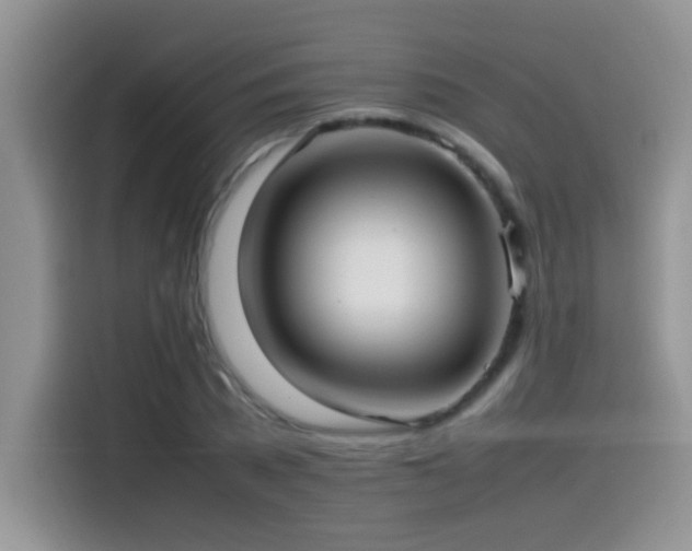 X0000115540785200911061459