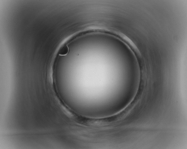 X0000115540791200911061459