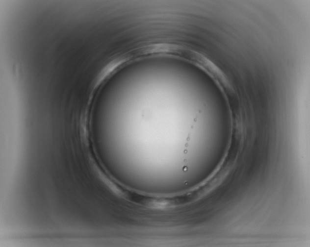 X0000115540794200911061459