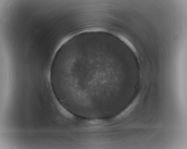 X0000115540797200911061459