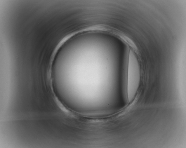 X0000115540800200911061459