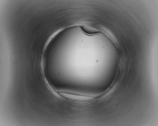 X0000115540804200911061459