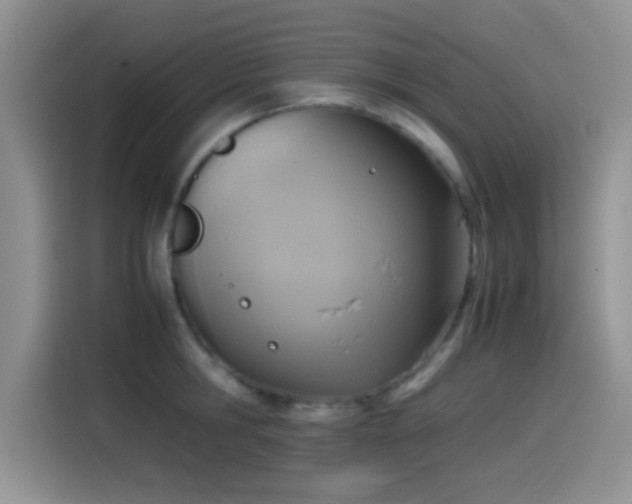 X0000115540806200911061459