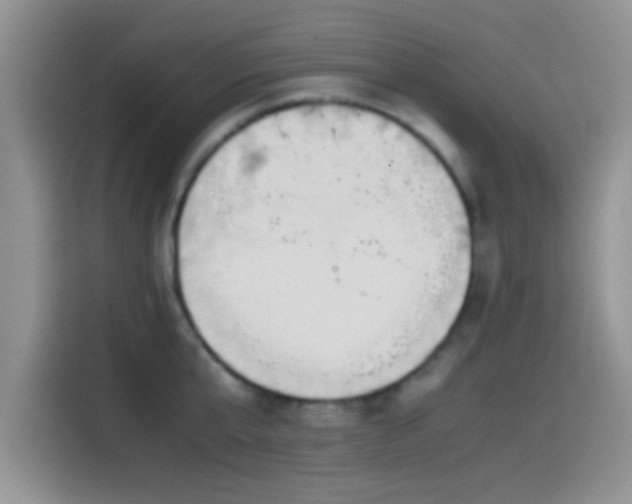 X0000115540807200911061459