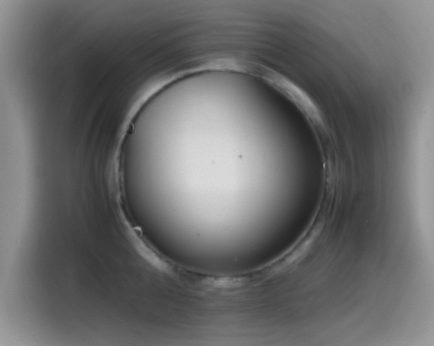 X0000115540808200911061459