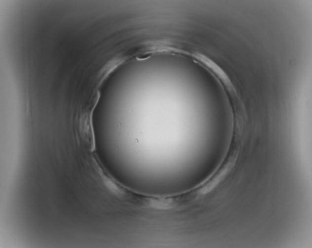 X0000115540809200911061459