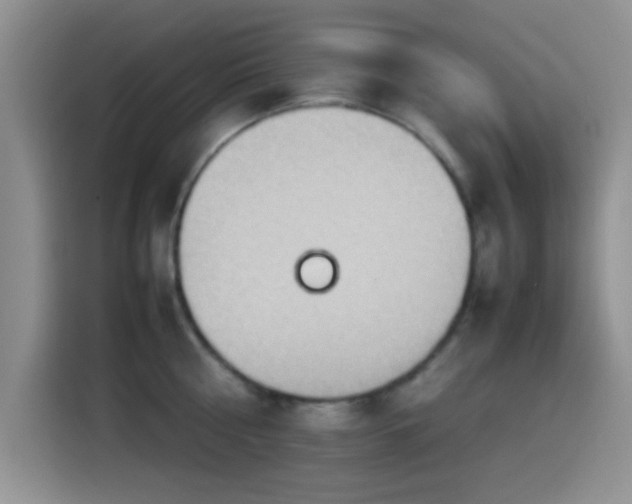 X0000115540810200911061459