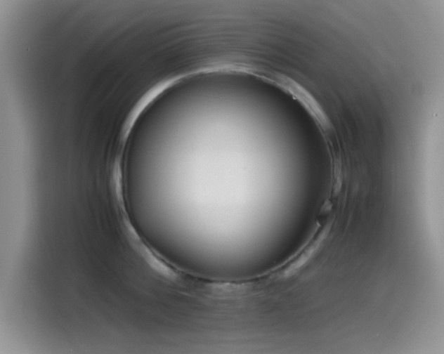 X0000115540812200911061459