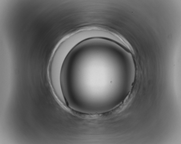 X0000115540813200911061459