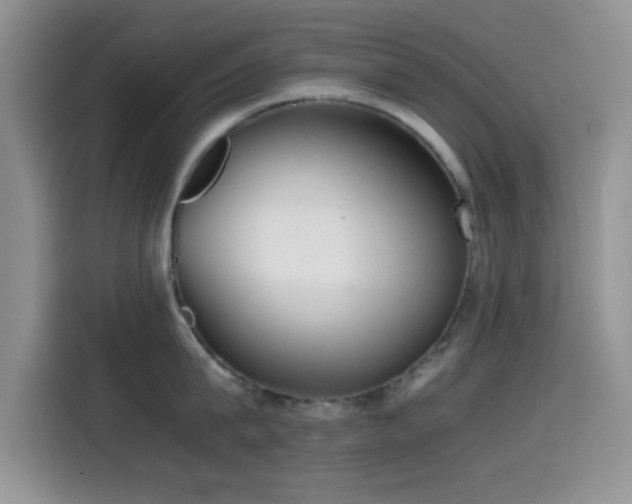 X0000115540815200911061459