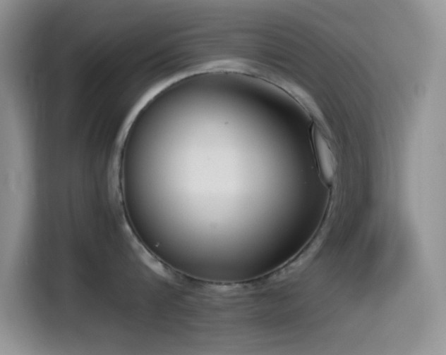 X0000115540816200911061459