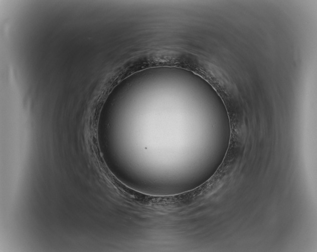 X0000115540817200911061458