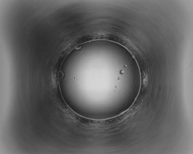 X0000115540819200911061458