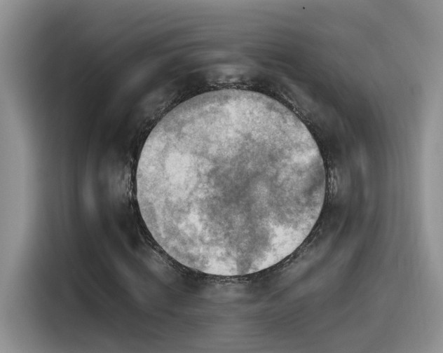 X0000115540820200911061458