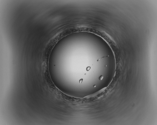 X0000115540821200911061458