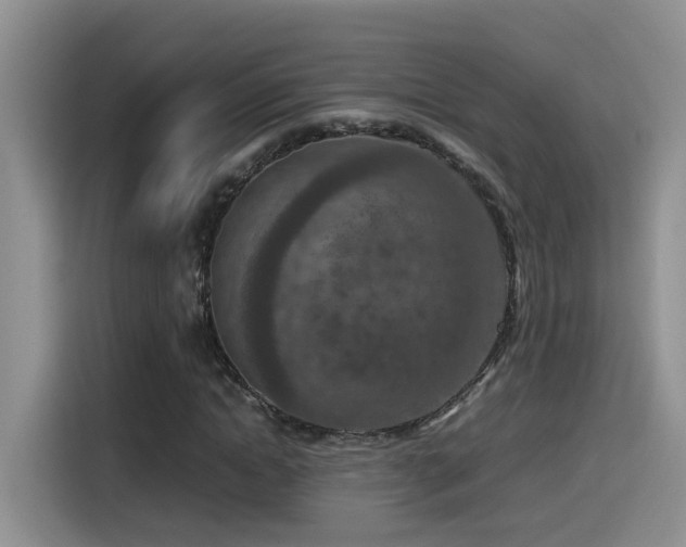 X0000115540822200911061458