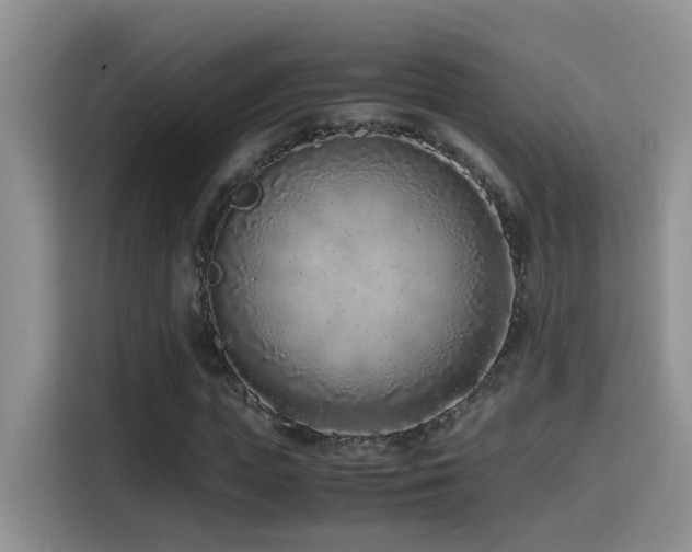 X0000115540823200911061458