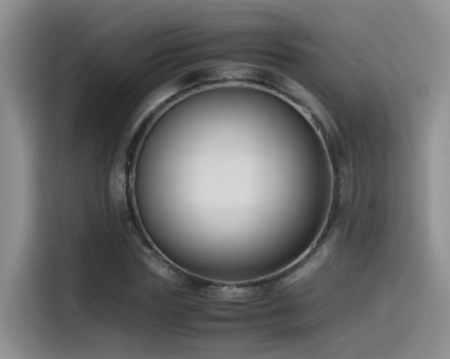 X0000115540827200911061458