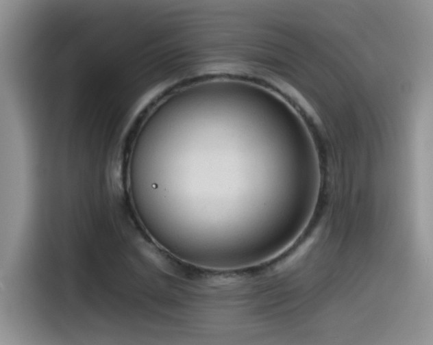 X0000115540830200911061458