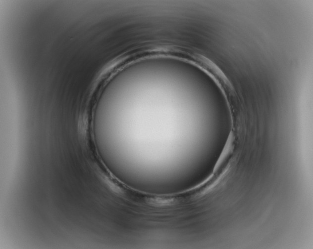 X0000115540831200911061458