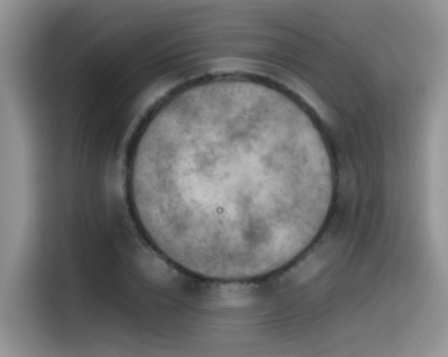 X0000115540832200911061458