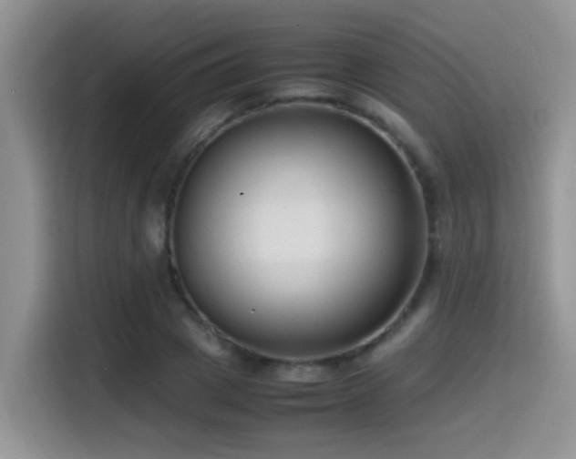 X0000115540833200911061458