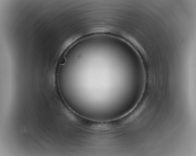 X0000115540834200911061458